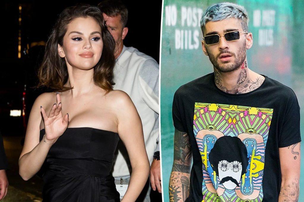 Selena Gomez and Zayn Malik's Dinner Date
