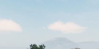 Mount & Blade 2 Bannerlord 2