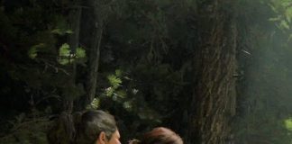 cropped-The-Last-of-Us-2.jpg