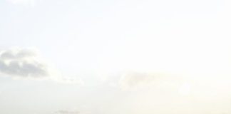 cropped-Mount-and-Blade-2-Bannerlord-1.jpg