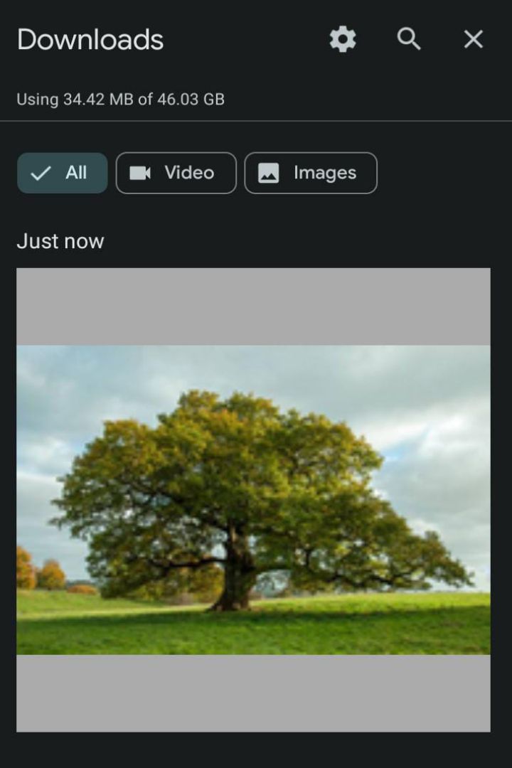 How to Find Google Chrome Downloads on Mobile and Desktop